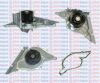 AQUAPLUS 85-6460 Water Pump
